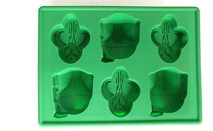 Silicone Model